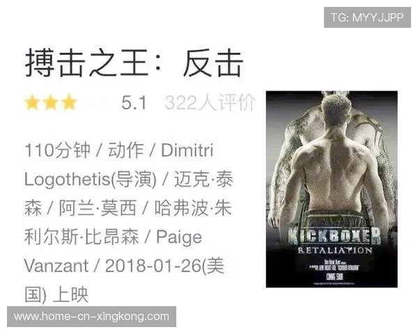 拳击传奇再创新高：纪录被打破的背后故事